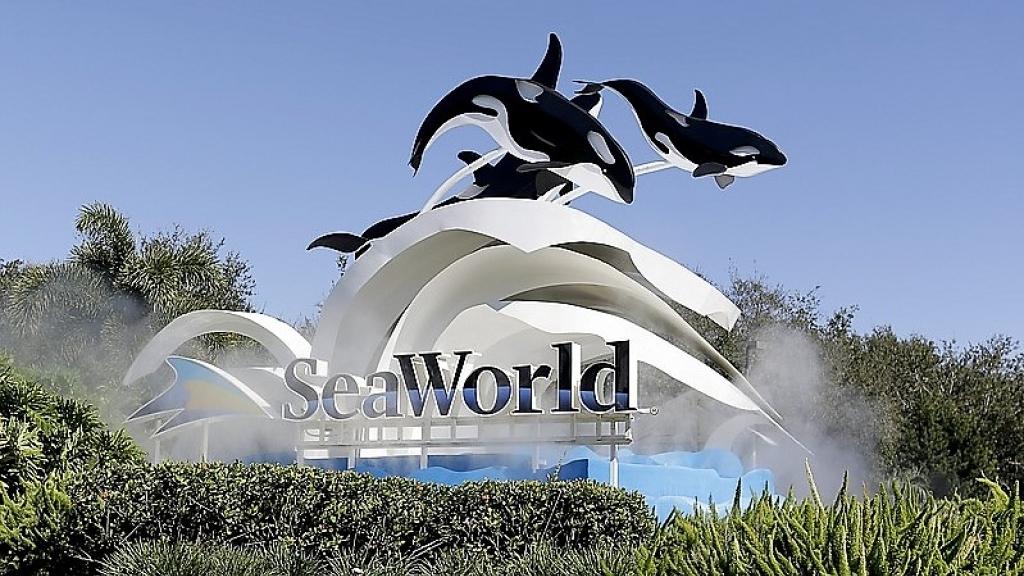 Seaworld e Aquatica Orlando abertos sete dias por semana