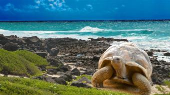 Galápagos reabre suas portas para o turismo