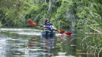 Everglades City: Passeios ecológicos, de caiaque, pesca e diversão