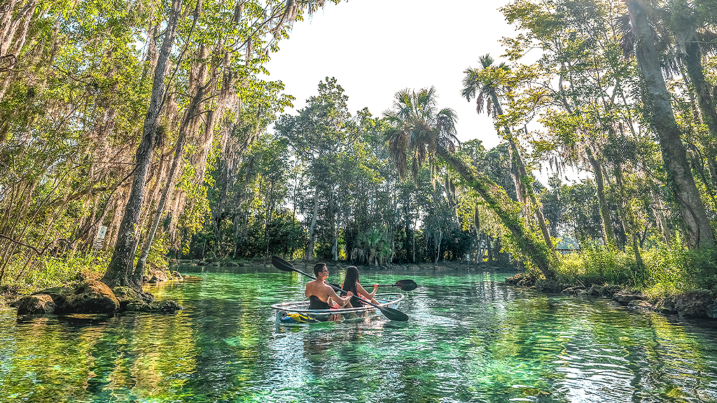 Os cinco melhores destinos de turismo ecológico da Flórida