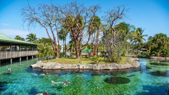 As Ilhas Cayman convidam você a desfrutar de três destinos em um