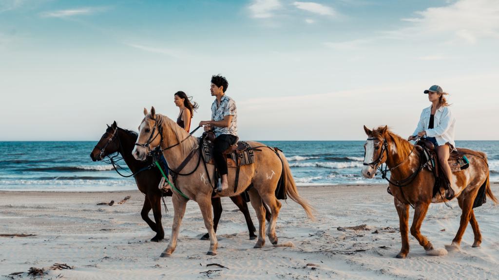 Onde encontrar passeios a cavalo na praia na Flórida