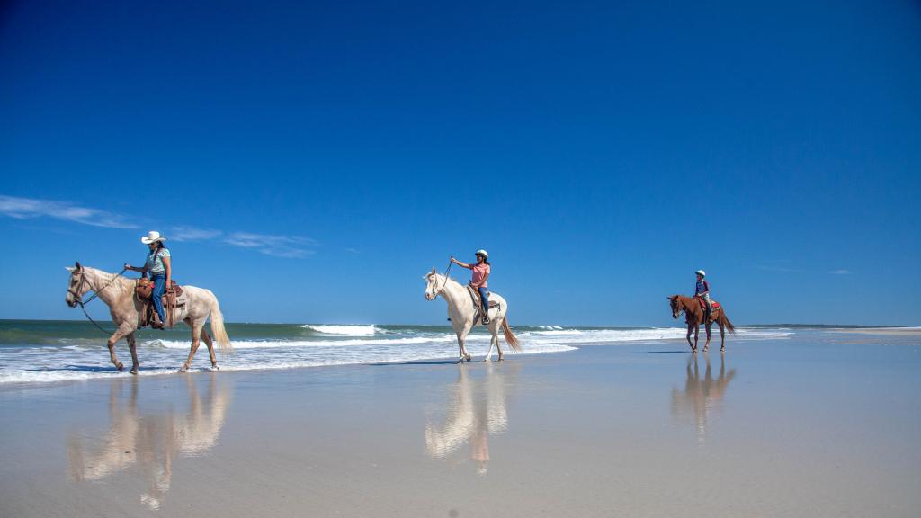 Onde encontrar passeios a cavalo na praia na Flórida