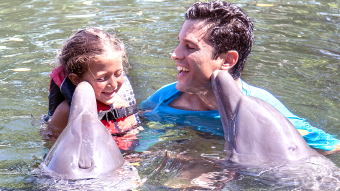 Onde e como encontrar golfinhos na Flórida